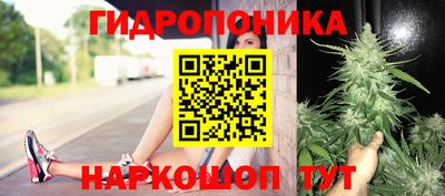 молекула духа Шахты