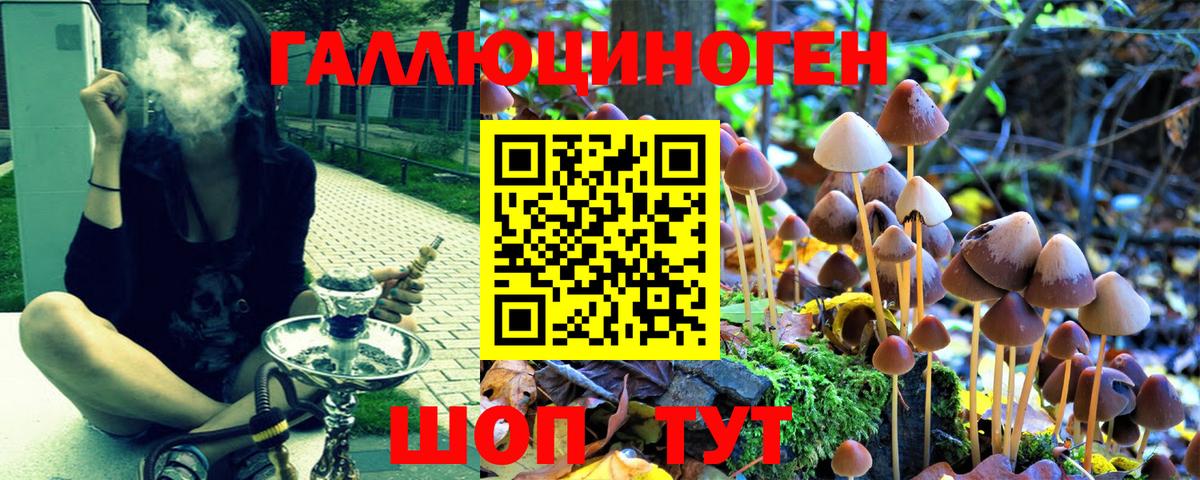 где можно купить   Вход с VPN  Луховицы  Галлюциногенные грибы MAGIC MUSHROOMS 