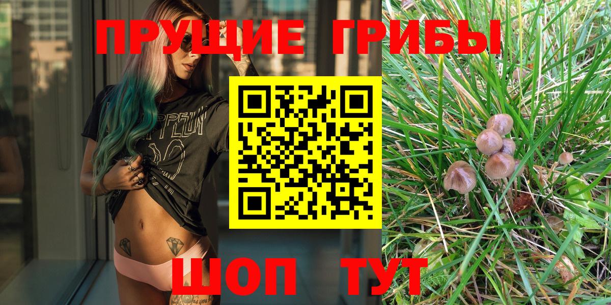 Псилоцибиновые грибы GOLDEN TEACHER Луховицы